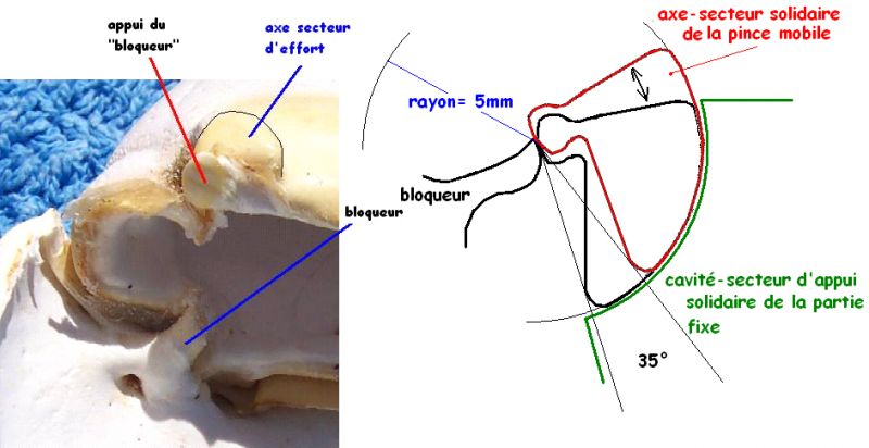 image004.png